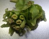 自家製☆フキ味噌☆簡単作り方1写真