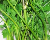 お年寄り絶讚シリーズ‼️芹ご飯‼️作り方1写真