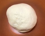 ヘルシー！豆腐餃子作り方2写真