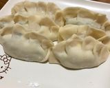 ヘルシー！豆腐餃子作り方9写真