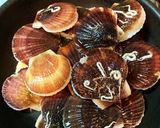 ホタテ稚貝の酒蒸しとバター蒸し作り方4写真