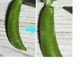 スナップエンドウの筋の取り方☆二通り作り方1写真