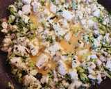 犬用＊具だくさんの炒り豆腐作り方4写真