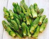 春の味覚☆たらの芽の下処理方法&天ぷら作り方6写真
