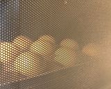 食事にも合う基本の丸パン！12個分作り方11写真