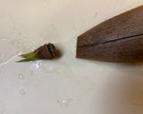 簡単!タケノコの下ごしらえ!作り方4写真