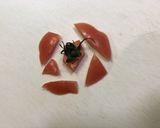 ザク切りトマトの丸ごとサラダ シャア専用作り方19写真