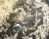 糖質オフ簡単爽やかグレープフルーツゼリー作り方5写真