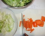 鶏肉サラダキャベツの副菜♪簡単時短作り方8写真