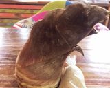 たけのこごはん作り方6写真