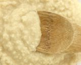 万能発酵調味料・豆乳塩麹の作り方作り方9写真