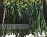 わらびのアク抜き作り方5写真
