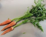 ゴマ香る にんじん葉っぱ天ぷら作り方1写真