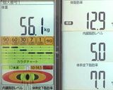 痩せる!セロリとブロッコリーの塩昆布炒め作り方13写真