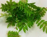 しらす卵とじ・木の芽味噌のせ作り方1写真