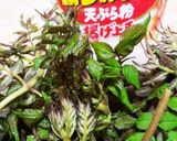 お年寄り絶讚シリーズ‼️たらの芽‼️作り方1写真