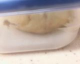 コンテナー容器で簡単♡手作りピタパン作り方4写真