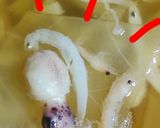 リカちゃん♡しらすと野菜のほっこりだし汁作り方11写真