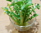 大根の葉っぱとしらすの和え物作り方1写真