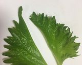 餃子の皮でさっぱり　豚コマ巻き作り方1写真