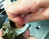サザエの身の取り出し方作り方7写真