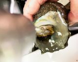 サザエの身の取り出し方作り方9写真