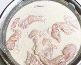 鶏胸肉でチキンカツ丼作り方2写真