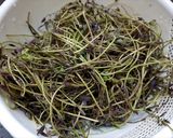 アケビの芽の佃煮風・保存食作り方3写真