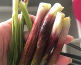 牛肉の四川炒め作り方1写真