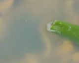 リカちゃん♡貝出汁オリーブ鶏油ラーメン作り方7写真