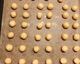 スノーボール風コロコロクッキー作り方10写真