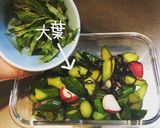 ラディッシュときゅうりの浅漬け作り方8写真