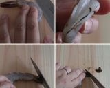絶品！海老とズッキーニのスパイシー炒め♪作り方1写真