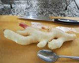 紅しょうがの作り方作り方1写真