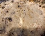 グルテン少なめ　山芋とイカのお好み焼き作り方5写真