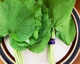 山葵の葉の塩漬け☆香り辛味がたまらない作り方1写真
