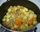 ５種の隠し味＊夏カレー作り方1写真