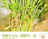 バランスメニュー、夕飯の献立牛肉メイン作り方4写真