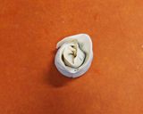 薔薇餃子❀·°作り方9写真