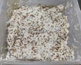 丸ごと蕎麦の食事パン作り方6写真