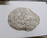 丸ごと蕎麦の食事パン作り方7写真