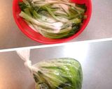 飯泥棒！『悪魔の小松菜味噌漬け』作り方4写真