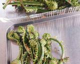 少量バッター液でさくさく天ぷら作り方11写真