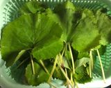 美味しいフキの葉丸ごと天ぷら作り方1写真