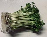 大根サラダ作り方6写真