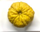 鬼柚子(獅子柚子) のピール作り方1写真