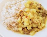 生姜の効いたあっさりスパイスカレー◎作り方11写真