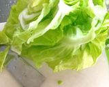 春キャベツの簡単浅漬け作り方1写真