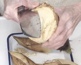 旬を味わおう♪たけのこの茹で方作り方2写真