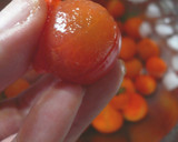 ♡ツナとミニトマトのソースdeパスタ♡作り方1写真
